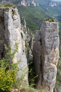 Causse de Méjeans, IMG_2337