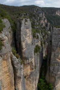 Causse de Méjeans, IMG_2339