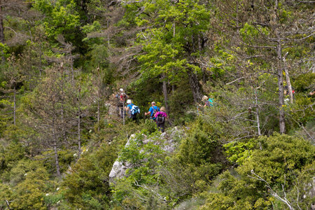 Causse de Méjeans, IMG_2342