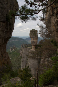 Causse de Méjeans, IMG_2344