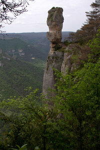 Causse de Méjeans, IMG_2346