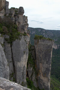 Causse de Méjeans, IMG_2349