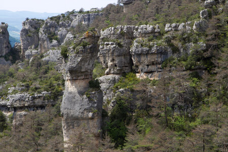 Causse de Méjeans, IMG_2372
