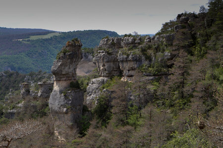 Causse de Méjeans, IMG_2374