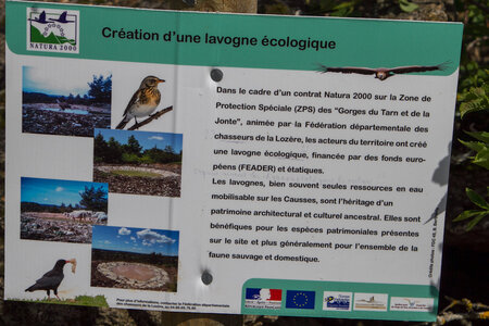 Causse de Méjeans, IMG_2245
