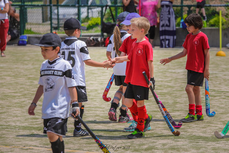 Hockey/Gazon Villeneuve 2juin2018, Villenneuve 2juin2018-28