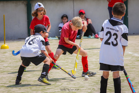Hockey/Gazon Villeneuve 2juin2018, Villenneuve 2juin2018-80