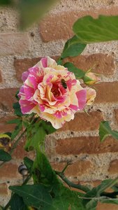 Moissac 2/3/06/2018, P_20180602_151137
