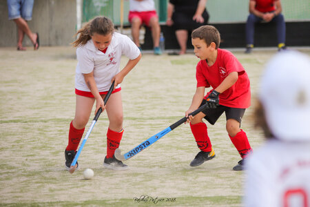 Hockey/Gazon Villeneuve 2juin2018, Villenneuve 2juin2018-186