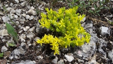 Mardi 05/06/2018, DSC007512