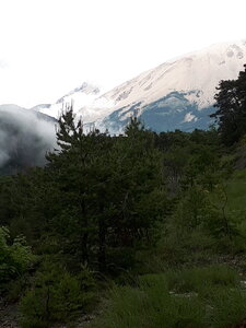 Mercredi 06/06/2018, 20180606_0954161