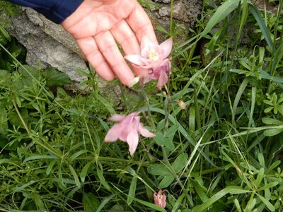 Mercredi 06/06/2018, DSCN3699