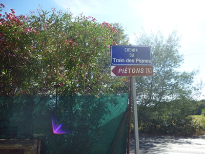 brégançon - bormes , P1020391