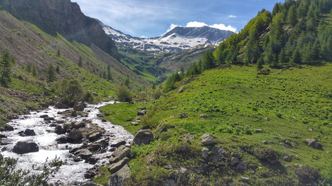 Lac de la Confrérie, 20180609_101541-01