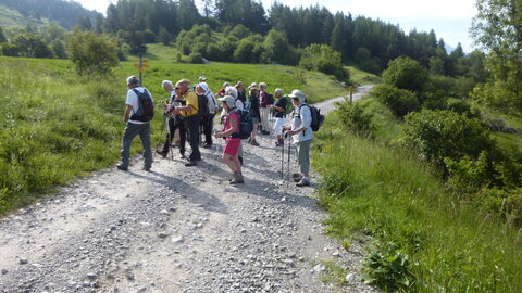 Balade Chorges 2018-05-15, P1040881