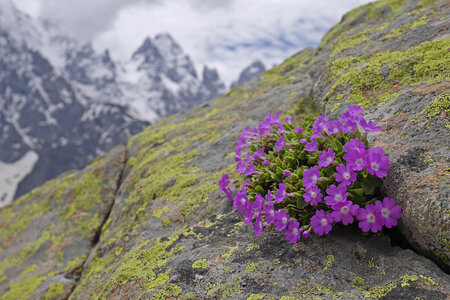 2018-06-14-17-dome-des-ecrins, alpes-aventure-ecole-de-glace-2018-06-15-43