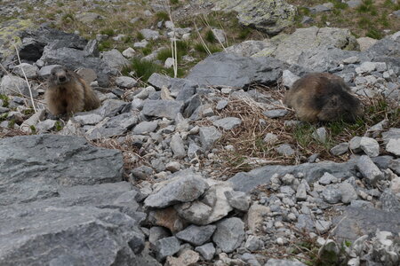 2018-06-14-17-dome-des-ecrins, alpes-aventure-ecole-de-glace-2018-06-15-60
