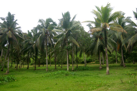 Diaporama démo, 1356945_46029361