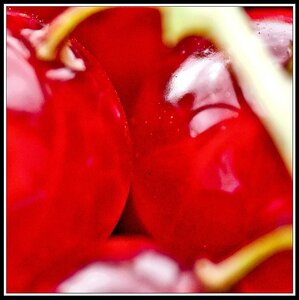 Groseilles, Groseilles 2