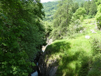 Reallon 2018-06-22, P1000109