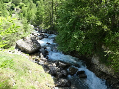 Reallon 2018-06-22, P1000111
