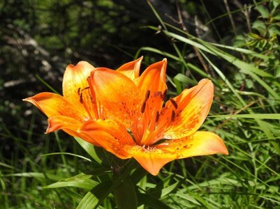 vendredi 22/06/2018, DSCN3987