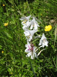 vendredi 22/06/2018, DSCN3983