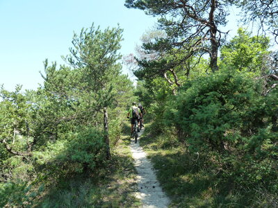 VTT Drôme, VTT Drôme 67