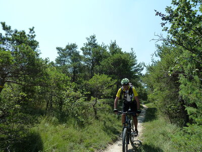 VTT Drôme, VTT Drôme 71