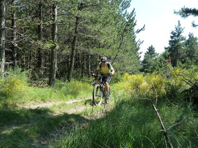 VTT Drôme, VTT Drôme 77
