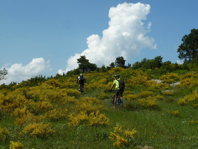 VTT Drôme, VTT Drôme 79