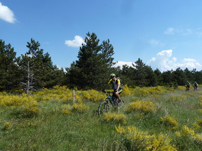 VTT Drôme, VTT Drôme 81