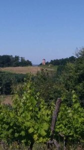 Laromet_Laroque 26/06/18, P_20180623_110153