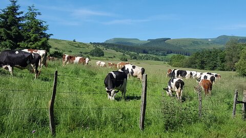 Mareuge Saulzet-le-froid Pessade, 20180622_102537