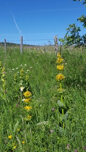 Mareuge Saulzet-le-froid Pessade, 20180622_110403