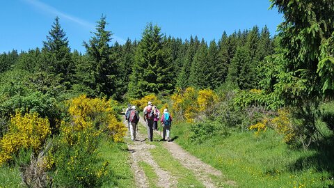 Mareuge Saulzet-le-froid Pessade, 20180622_113220