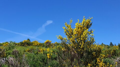 Mareuge Saulzet-le-froid Pessade, 20180622_113648