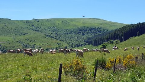 Mareuge Saulzet-le-froid Pessade, 20180622_144810