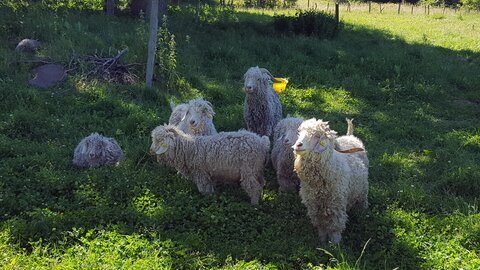 Mareuge Saulzet-le-froid Pessade, 20180622_161122