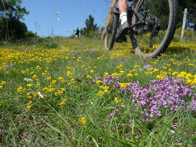 VTT Drôme, étap5_8