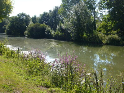 TONNAY-BOUTONNE, tonnay boutonne 008