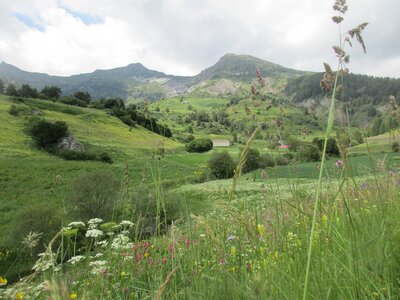 mardi 26/06/2016, 1_IMG_6577  Copier 