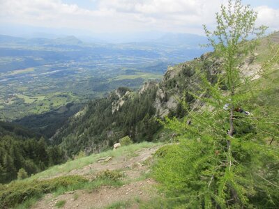 mardi 26/06/2016, IMG_6534  Copier 