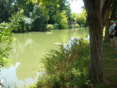 TONNAY-BOUTONNE, tonnay boutonne 048
