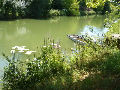 TONNAY-BOUTONNE, tonnay boutonne 049