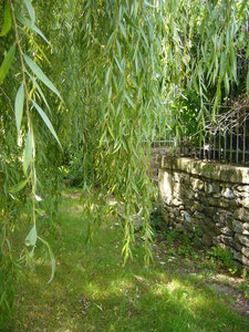 TONNAY-BOUTONNE, tonnay boutonne 055