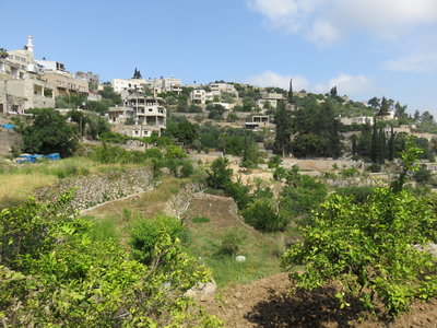 2018 Palestine , 025 Battir près de la source