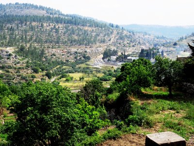 2018 Palestine , 028 Battir