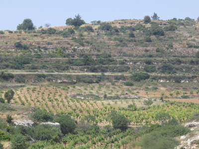 2018 Palestine , 031 sur la route d’’Hébron
