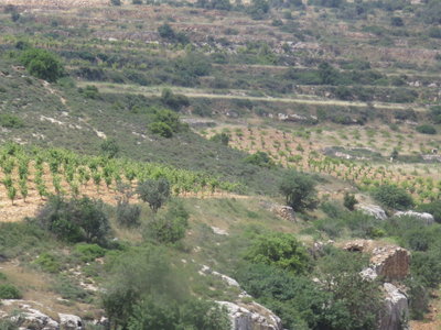 2018 Palestine , 032 sur la route d’’Hébron